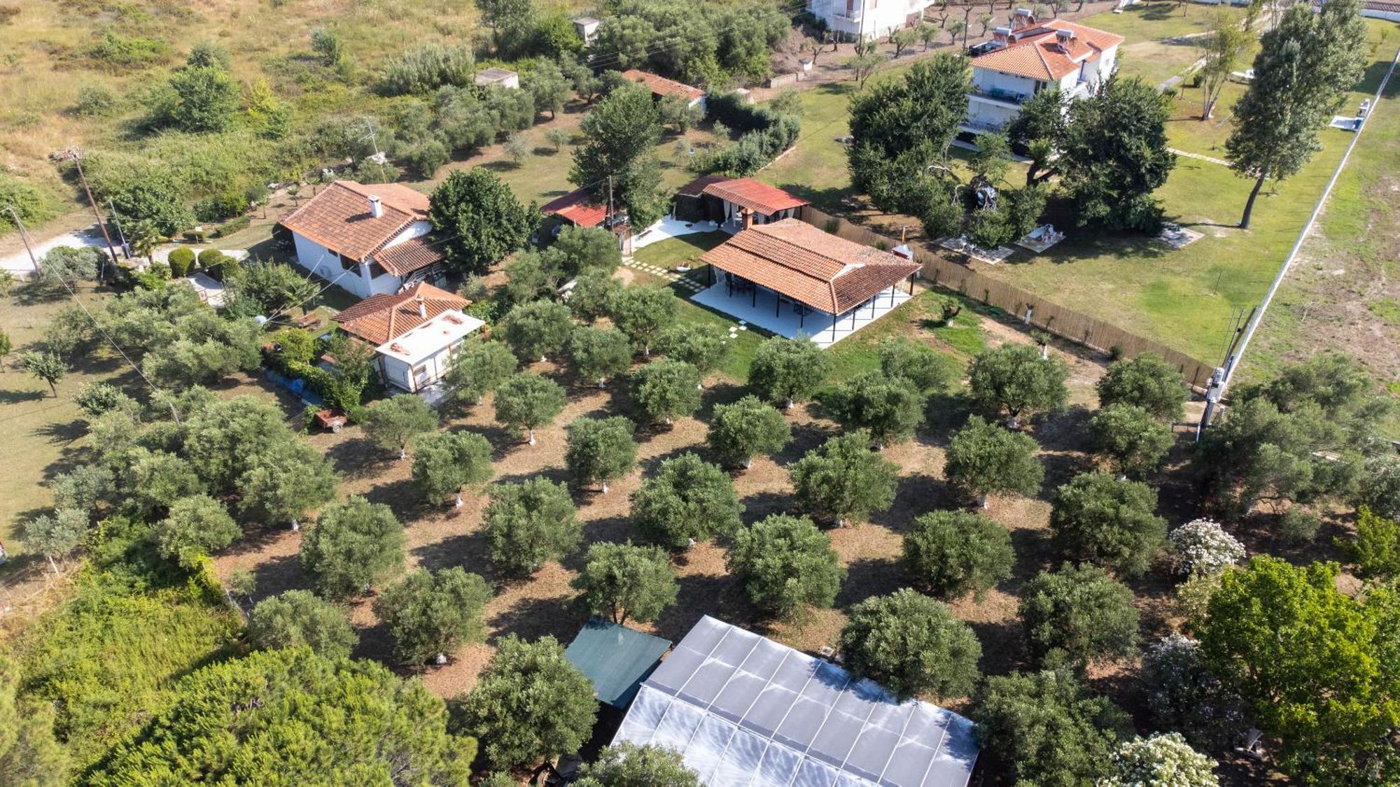 Casa Alelia Lagonisi Ormos Panagias Ngoại thất bức ảnh